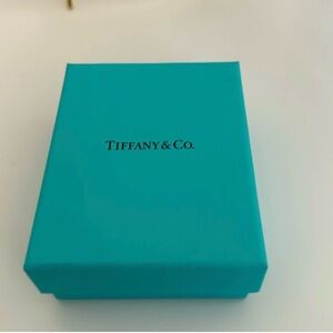 Tiffany & Co. Turquoise Box